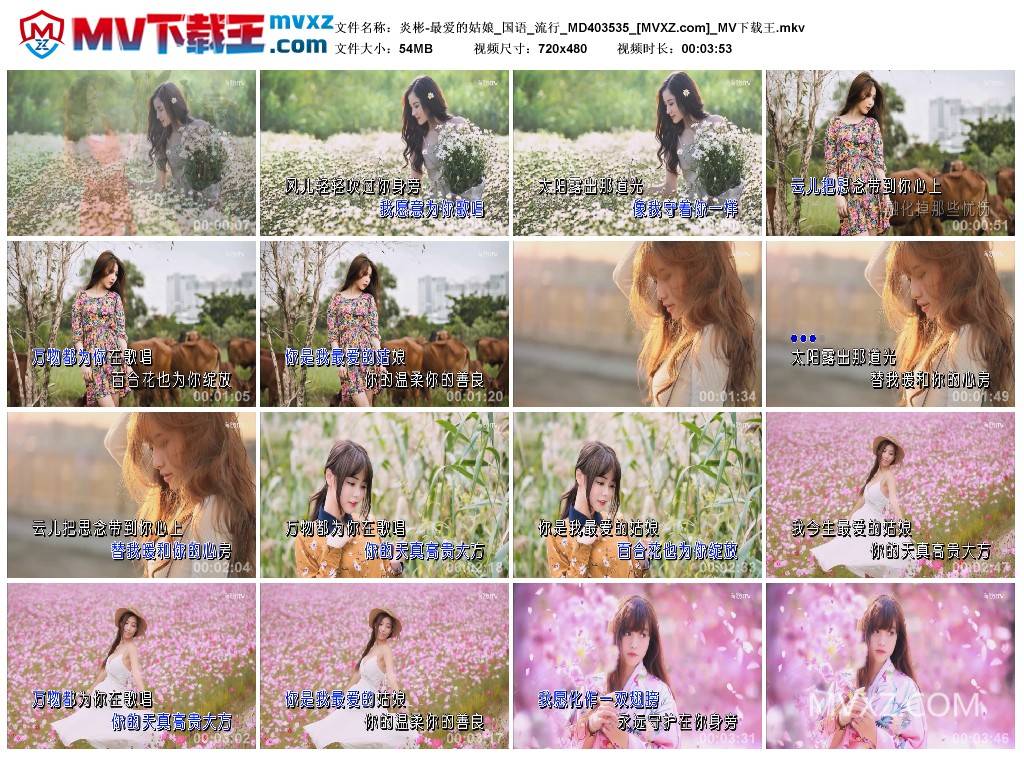 炎彬-最爱的姑娘_国语_流行_MD403535